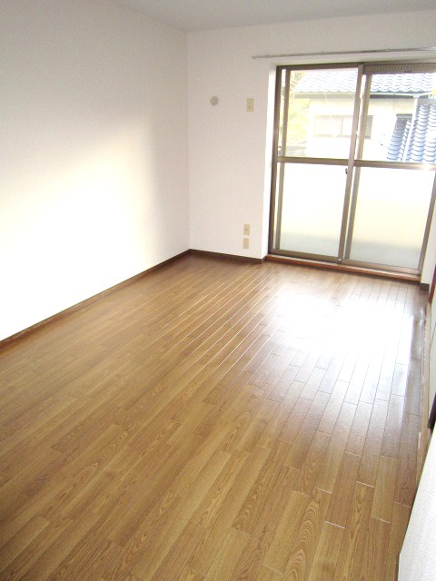 Living and room. Bright room