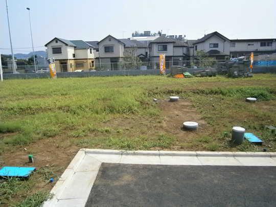 Local land photo. Local Photos