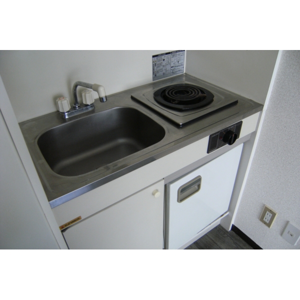 Kitchen. Mini-kitchen with refrigerator