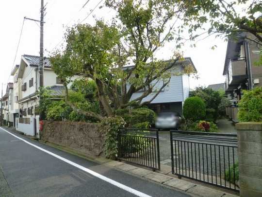 Local land photo. Appearance part