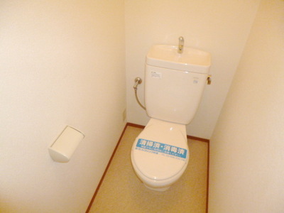 Toilet. Clean toilet