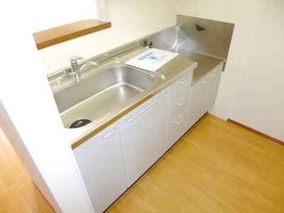 Kitchen. Two-burner gas stove installation Allowed