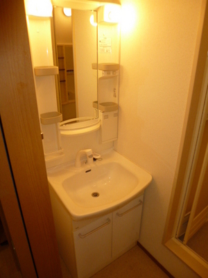 Washroom. Shampoo dresser