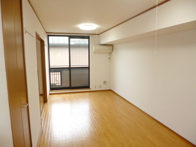 Living and room. Bright living room