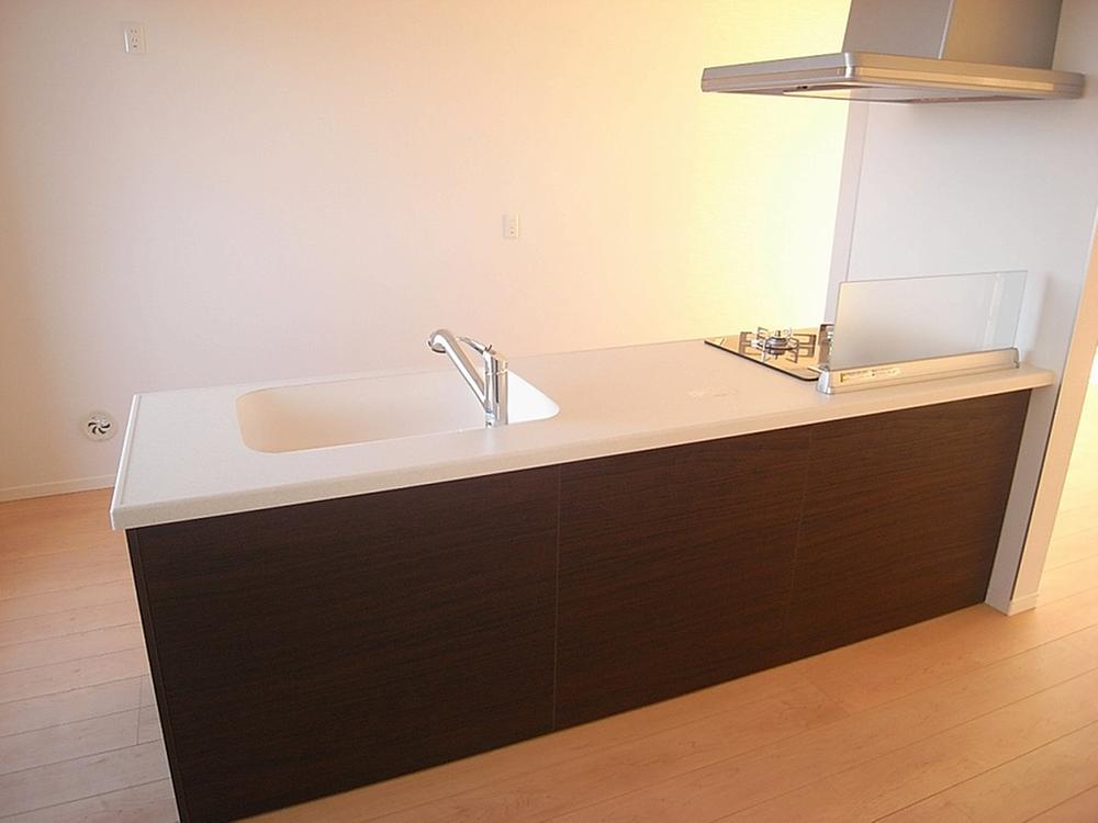 Kitchen. System kitchen of a flat top plate