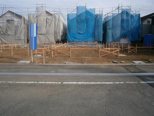 Local land photo. Local Photos