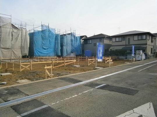 Local land photo. Local Photos