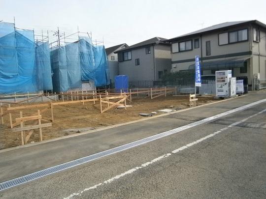 Local land photo. Local Photos