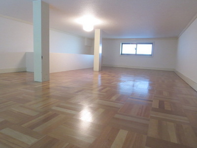 Other room space. Loft space