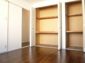 Living and room. North Western-style 6 Pledge closet is also large! 