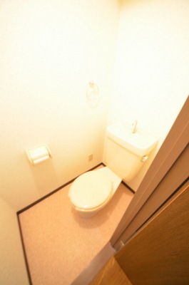 Toilet.  ☆ Loose your toilet ☆ 