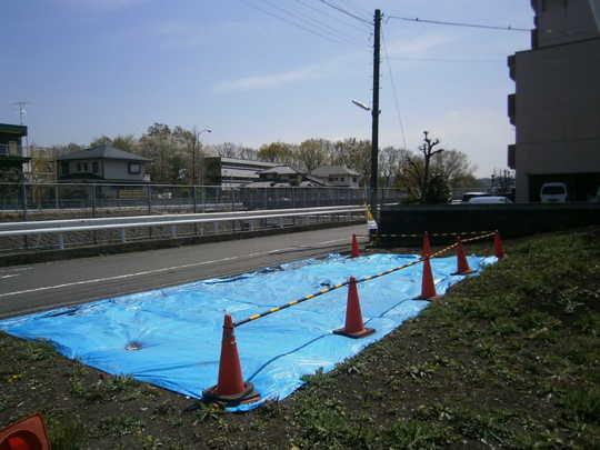 Local appearance photo. Local Photos