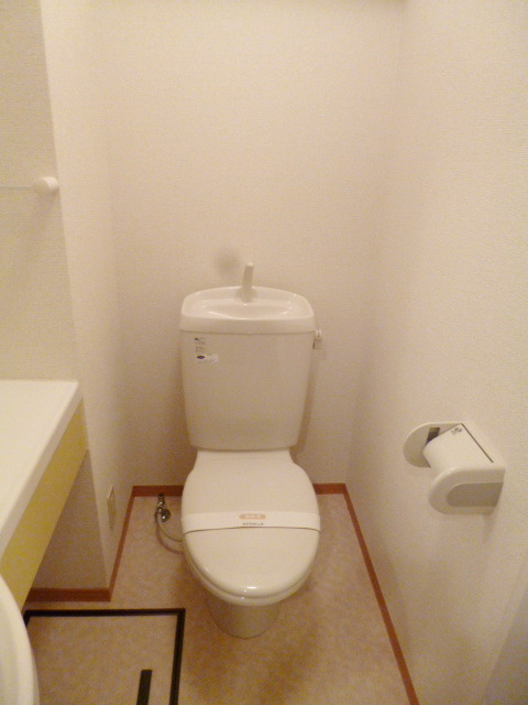 Toilet. Toilet with cleanliness