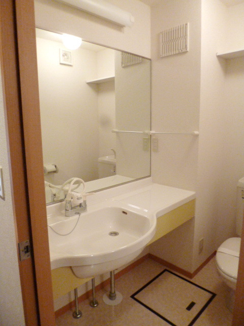 Washroom. Wash basin of a large mirror