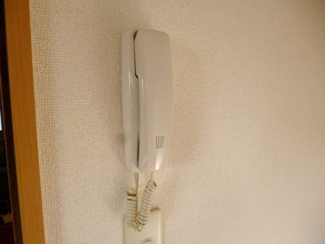 Security. Peace of mind of the intercom