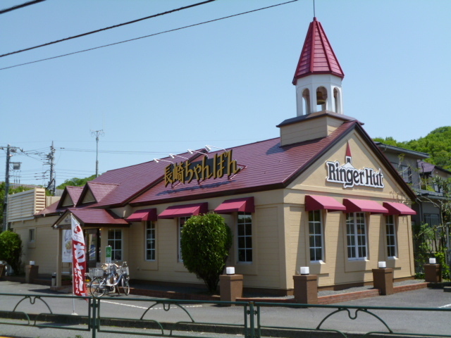Other. Ringer Hut to (other) 1100m