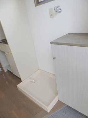 Other Equipment. Washing machine in the room