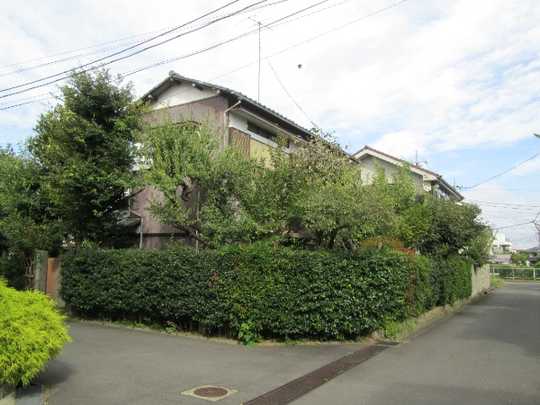 Local land photo. local