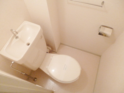 Toilet. Toilet