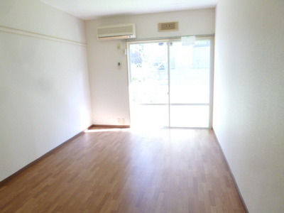 Living and room. Beautiful Western-style