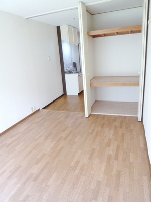 Other room space. Beautiful Western-style