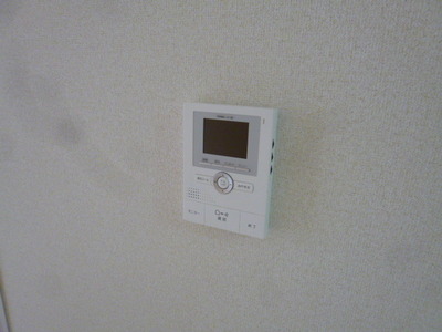 Security. With TV monitor Hong