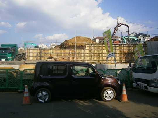 Local land photo. Local Photos