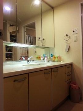 Wash basin, toilet. All three sides Kagamiura is housed