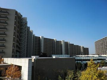 Local appearance photo. Mansion overall appearance