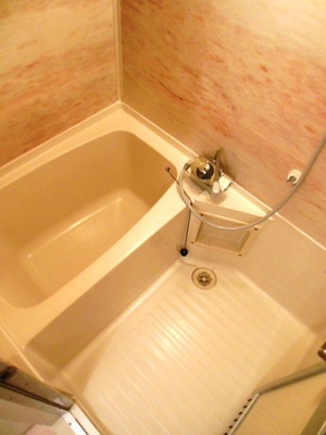 Bath. Bathroom that can be relaxed