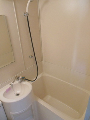 Bath. Cleaning Easy unit bus