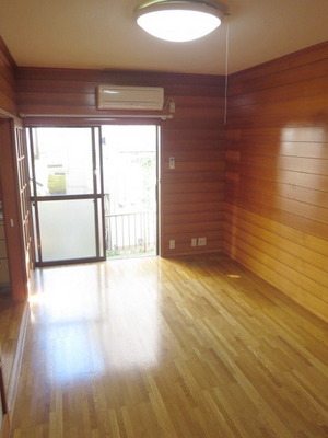 Living and room. Bright living room