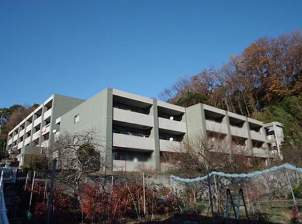 Local appearance photo. Green is a rich living environment!