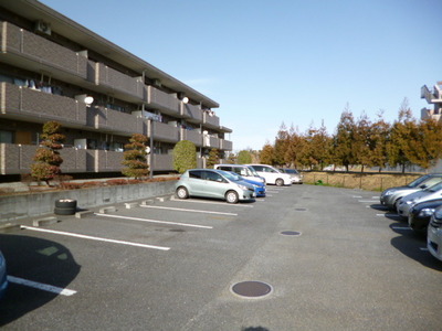 Parking lot. On-site parking