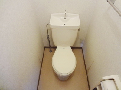 Toilet. Toilet