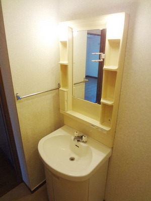 Washroom. Independent wash basin