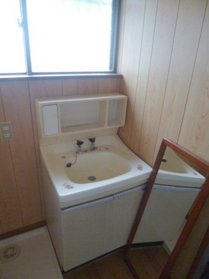 Washroom. Independent wash basin