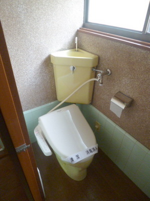 Toilet. Window with toilet