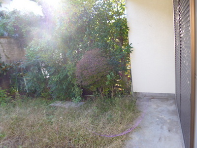 Garden. The garden is very broad