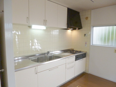 Kitchen. In fashionable kitchen, Revved up dishes hang in there likely