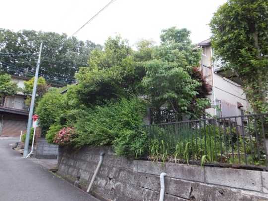 Local land photo. appearance