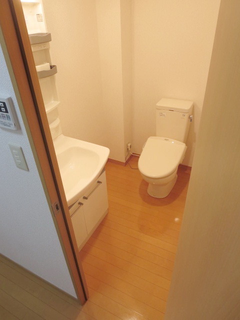 Toilet. Important cleaning toilet seat in winter