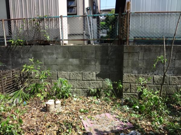 Local land photo. Local (May 16, 2013 shooting)