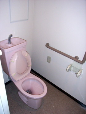Toilet