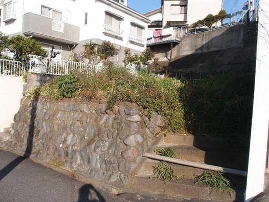 Local land photo. local