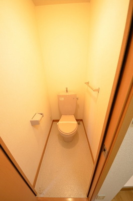 Toilet. ☆ Loose your toilet ☆