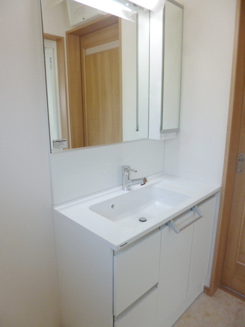 Washroom. Independent wash basin of a large mirror