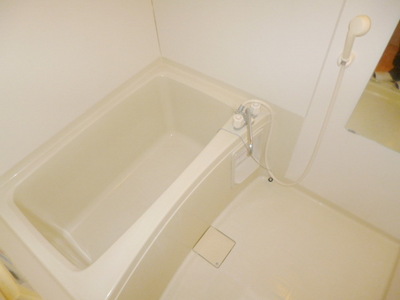 Bath. With convenient mirror