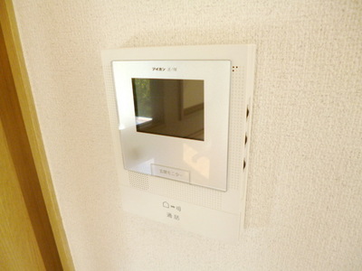 Security. Monitor with intercom
