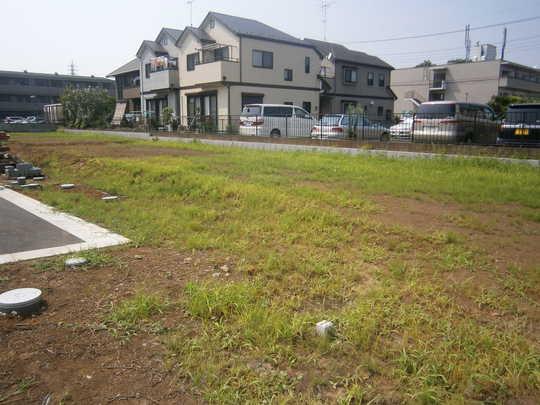 Local land photo. Local Photos